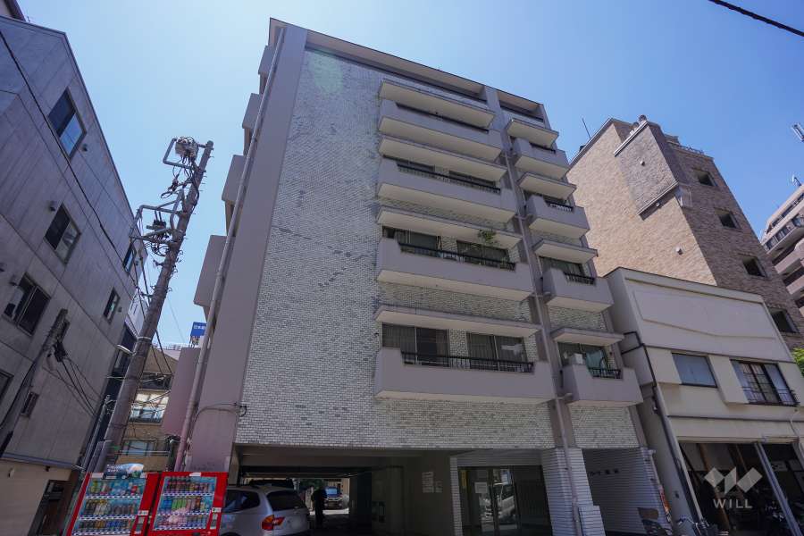 ヴィラ麻布の外観（北西側から）