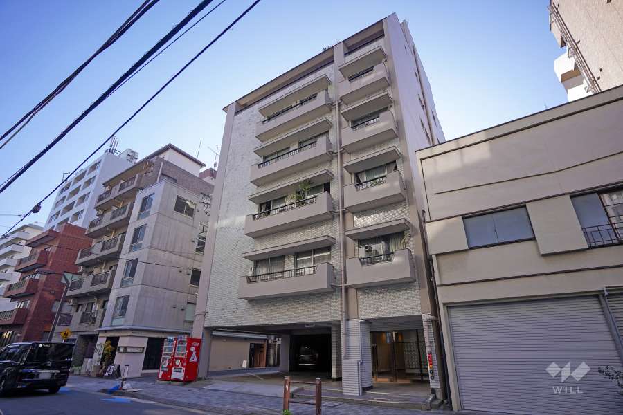 ヴィラ麻布の外観（北東側から）