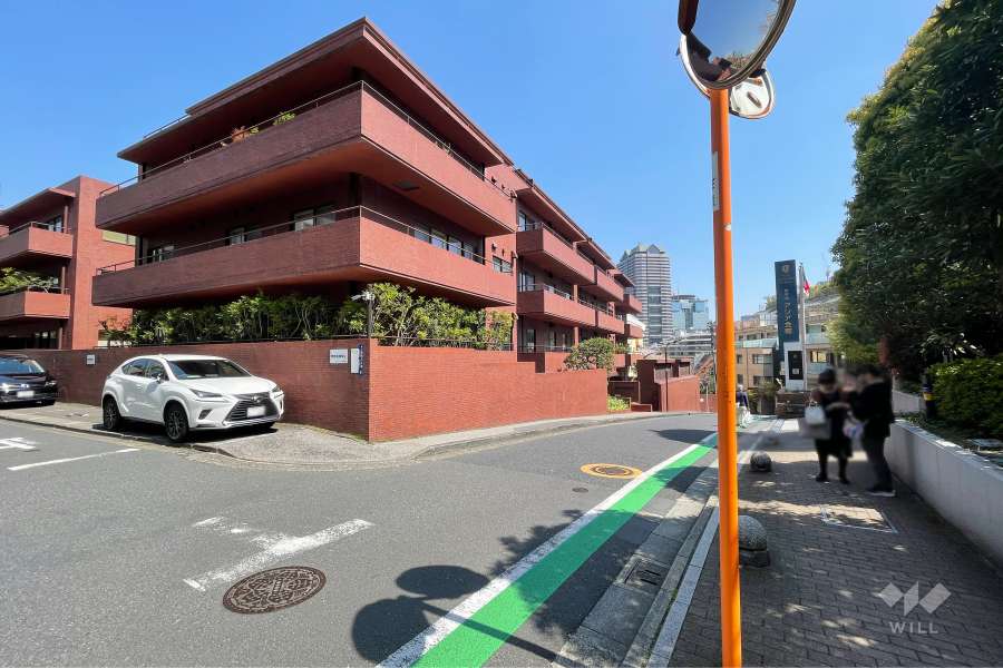 敷地の南側前面道路（西側から）