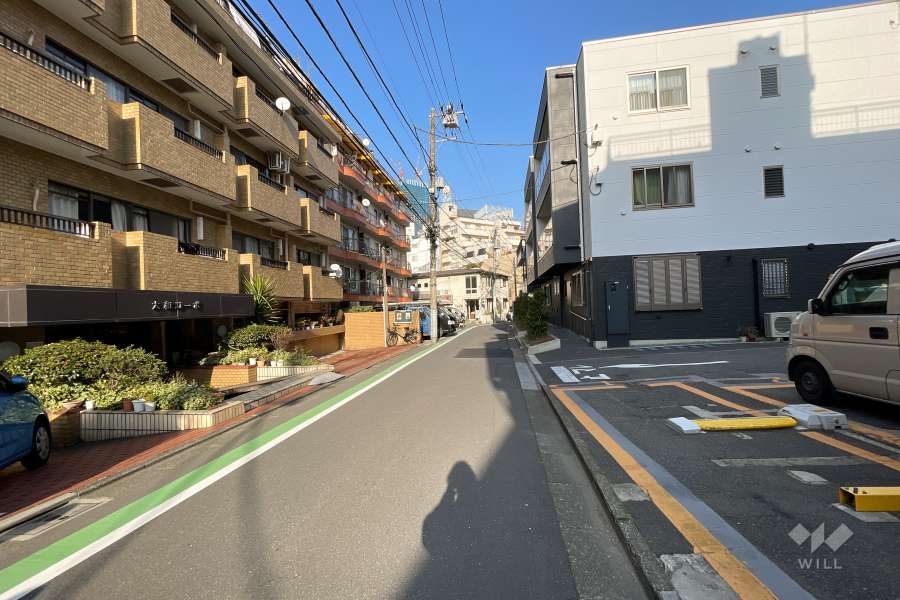 敷地南側の前面道路（西側から）