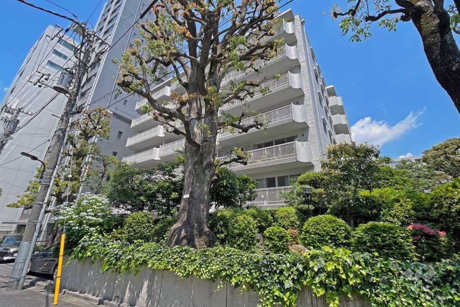 高輪ハウスの外観（南東側から）