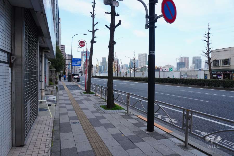 敷地東側の前面道路（南側から）