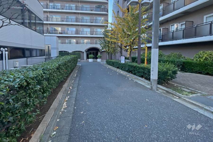 敷地南側の前面道路（東側から）