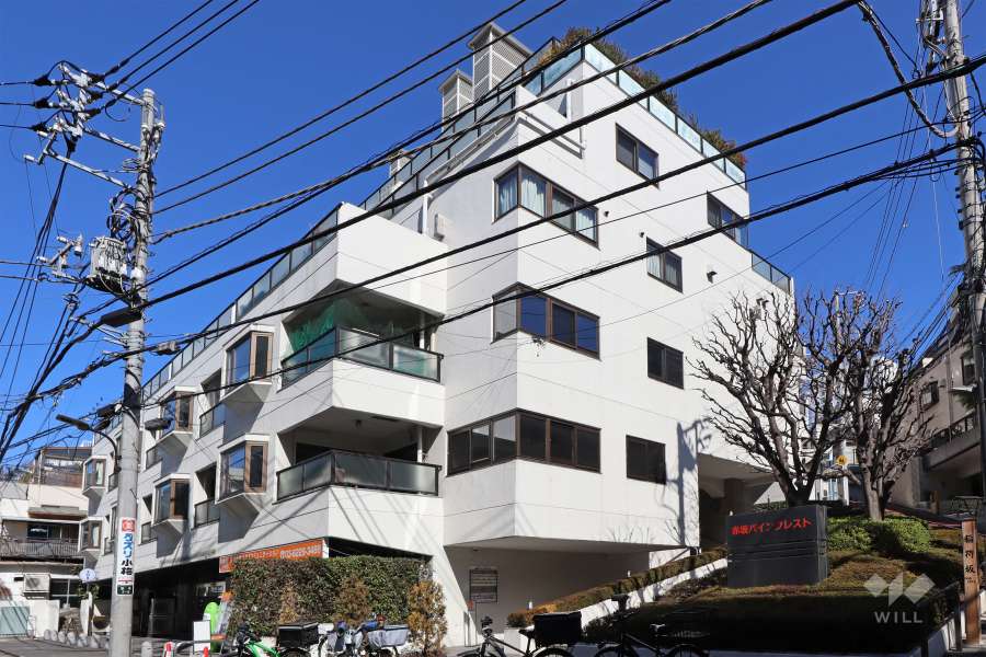 赤坂パインクレストの外観（南側から）