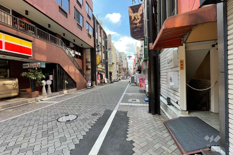 敷地南西側の前面道路（南東側から）