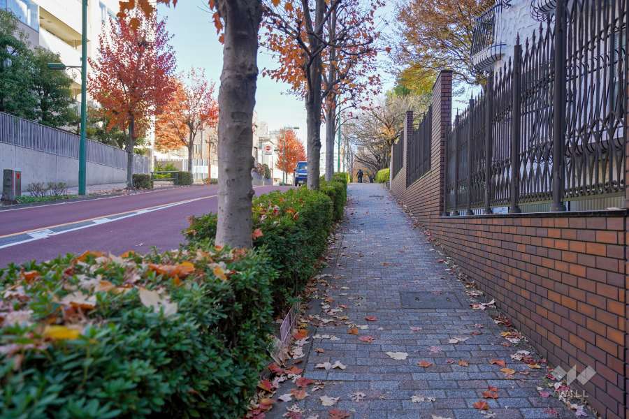 敷地北側の前面道路（日向坂）