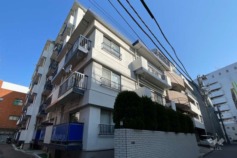 麻布ローヤルコーポの外観（南側から）