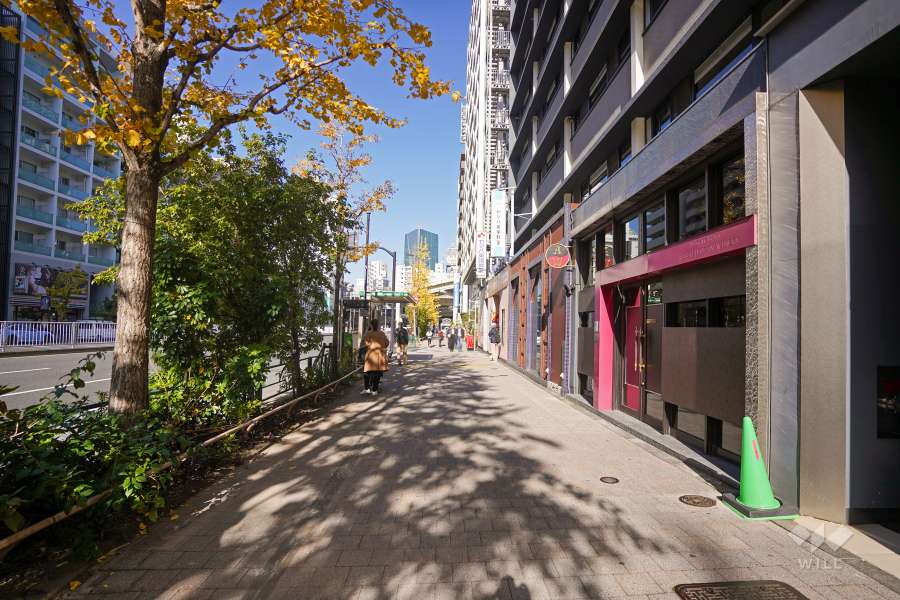 敷地西側の前面道路（南側から）