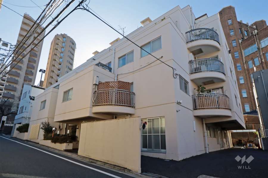 シェトワ白金台の外観(北西側から)