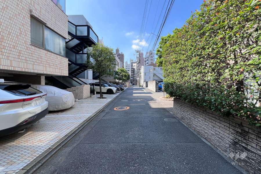 敷地の北西側前面道路（北東側から）