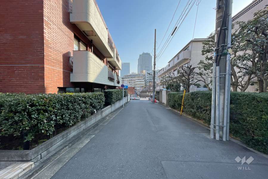 敷地南東側の前面道路（南西側から）