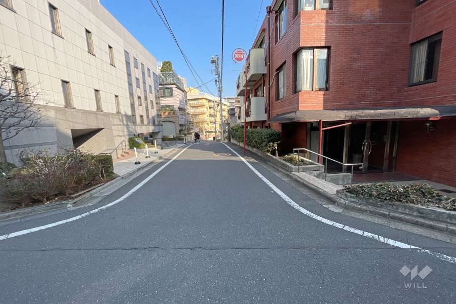 敷地南西側の前面道路（南東側から）
