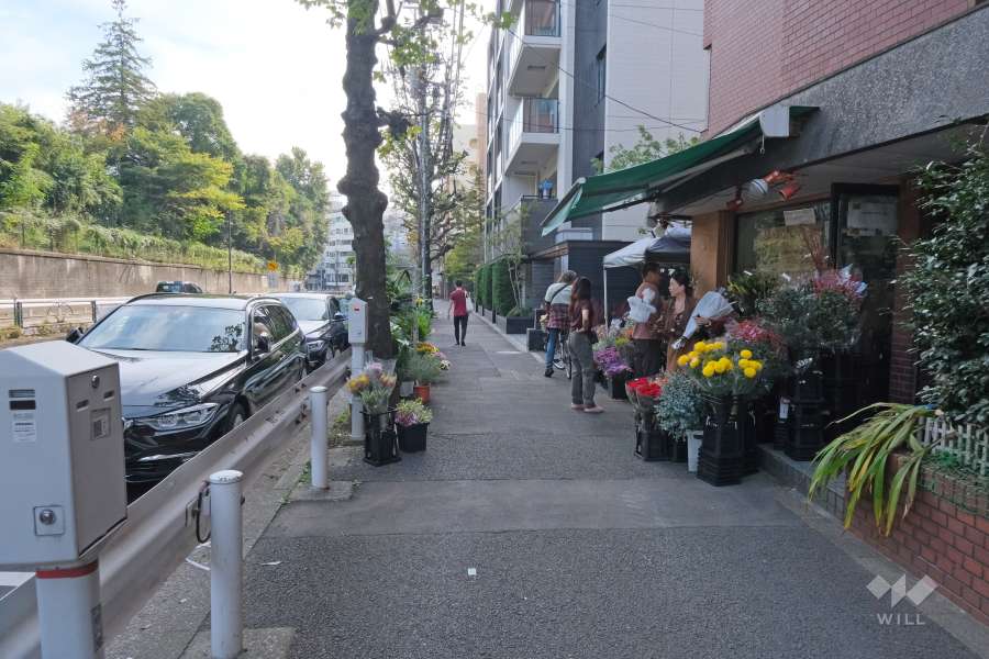 敷地東側の前面道路（北側から）