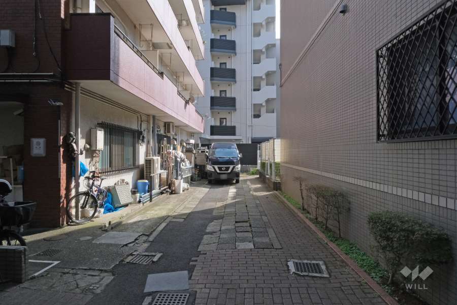 敷地西側の前面道路（北側から）
