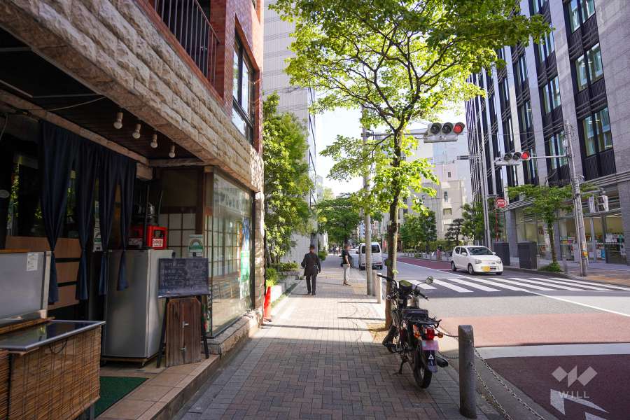 敷地西側の前面道路（北側から）