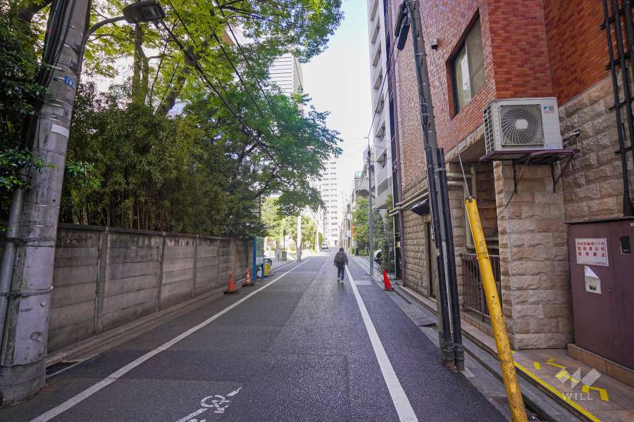 敷地北側の前面道路（西側から）