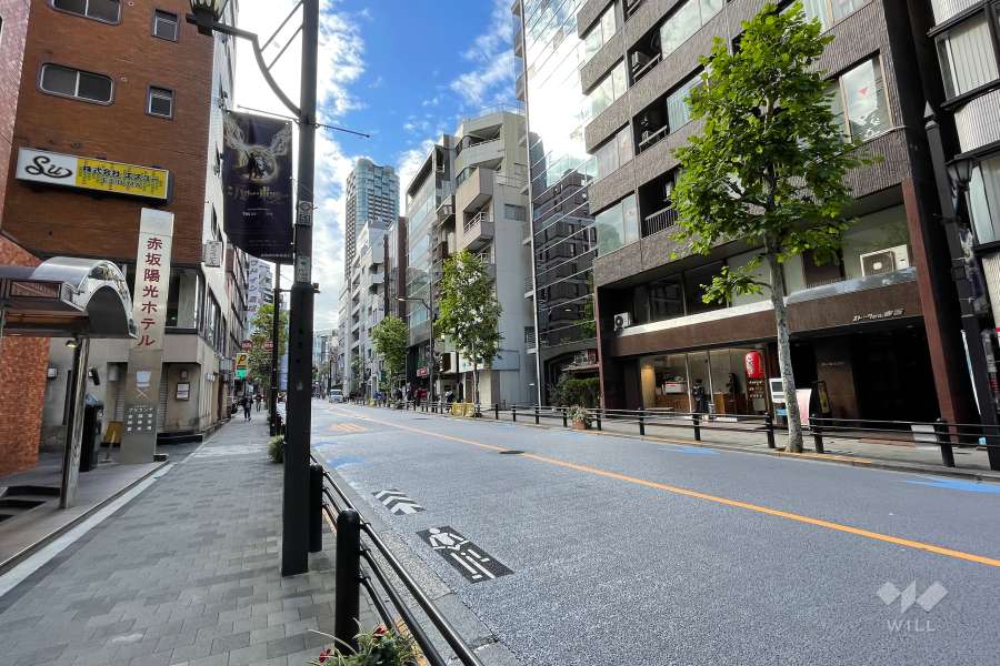 敷地南東側の前面道路（北東側から）