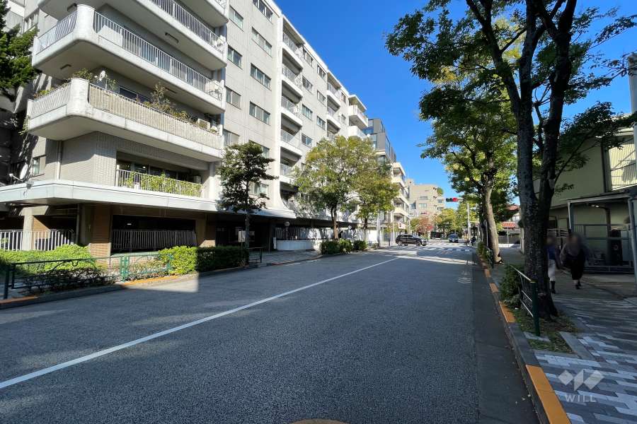 敷地南東側の前面道路（南西側から）