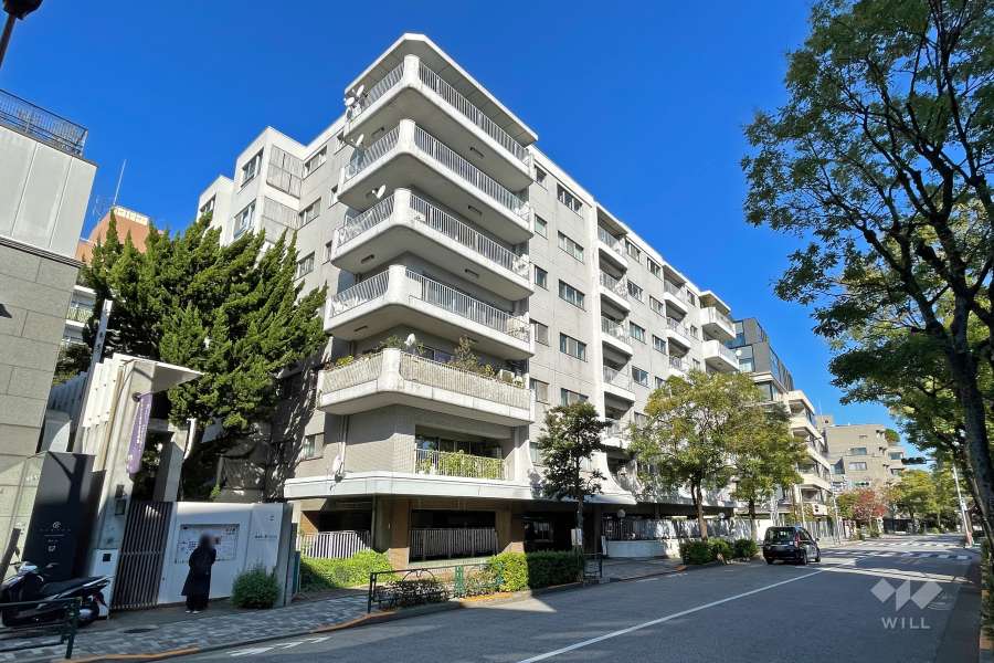 シャトー東洋の外観（南側から）