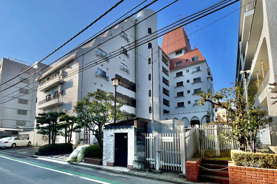 秀和青南レジデンスの外観（北側から）