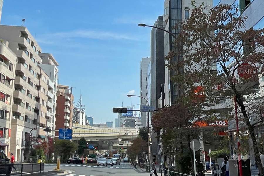敷地北側の前面道路（西側から）