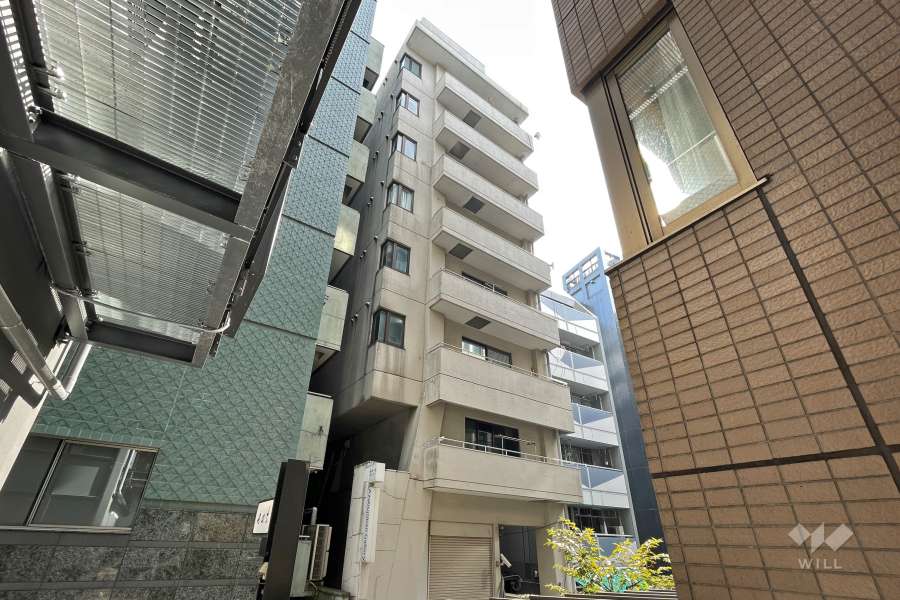 エスポワール麻布の外観（北西側から）