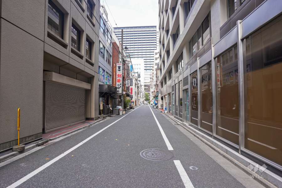 敷地西側の前面道路（南側から）