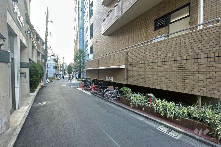 敷地北西側の前面道路（南西側から）