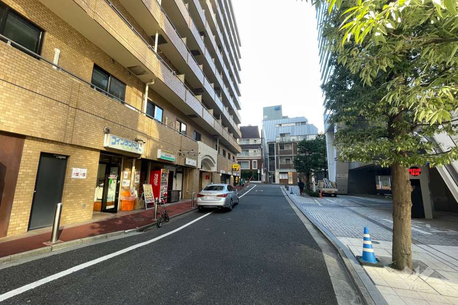 敷地北東側の前面道路（南東側から）