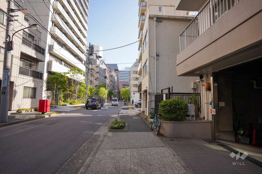 敷地東側の前面道路（北側から）