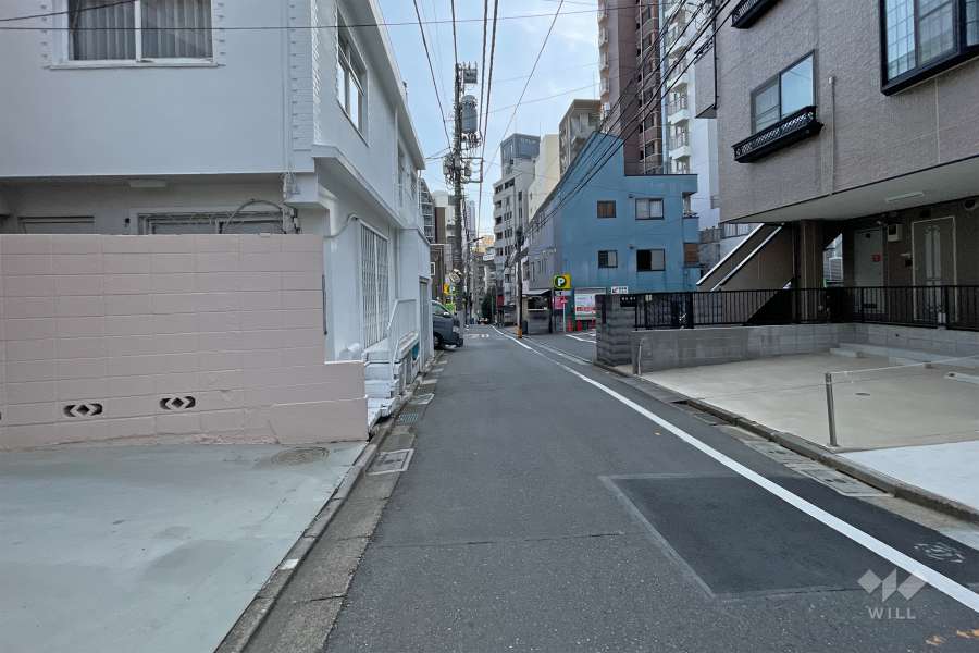 敷地南側の前面道路（西側から）