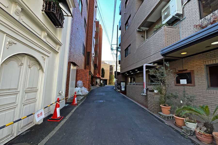 敷地東側の前面道路（北東側から）