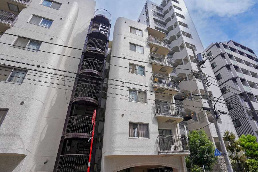 ニューハイム田町の外観（西側から）