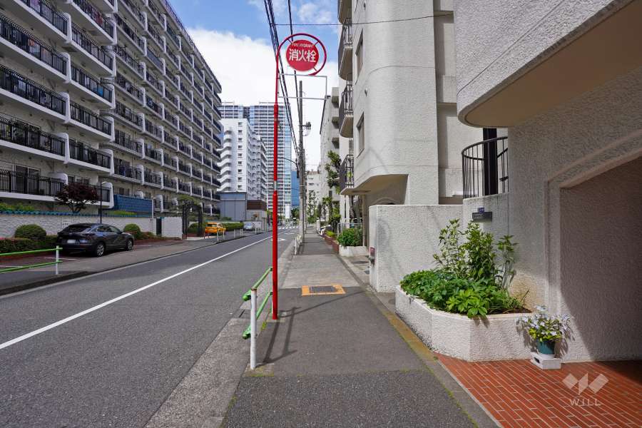 敷地西側の前面道路（南側から）