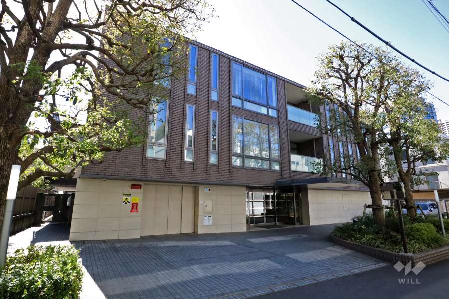 グランブルー高輪アドニスの外観(北東側から)