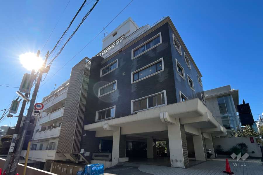 マンションの外観（北側から）