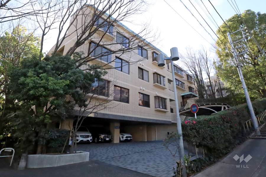 ヴィクトリアコートウエストの外観(北東側から)