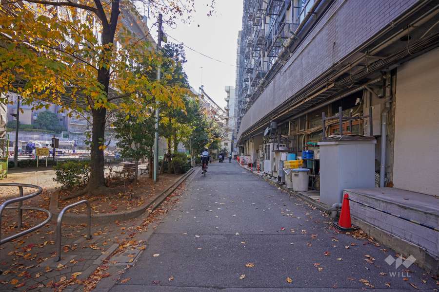 敷地東側の前面道路（北側から）