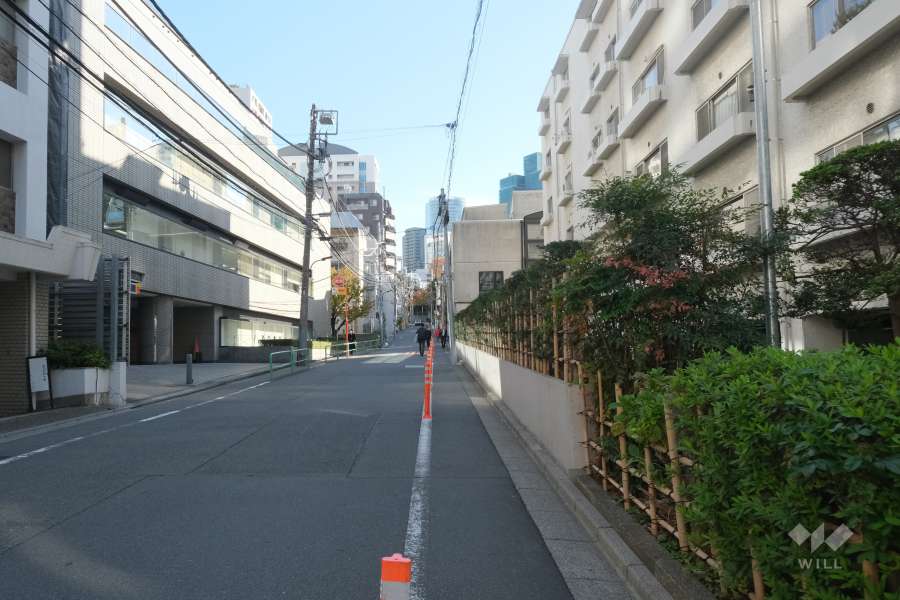 敷地の北東側前面道路（北西側から）