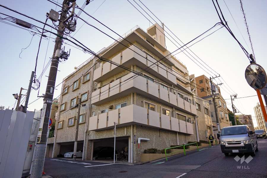 ハイネス南麻布の外観（北東側から）