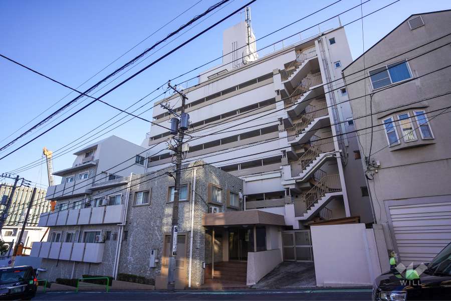 ハイネス南麻布の外観（北西側から）