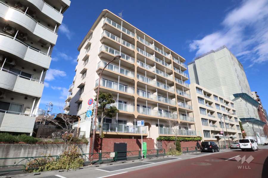 イトーピア南麻布マンションの外観(南西側から)