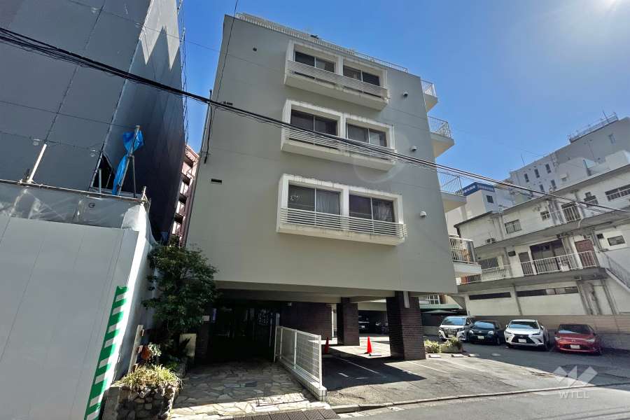 南麻布マンションの外観（西側から）