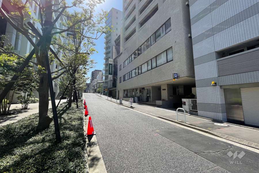 敷地の南東側前面道路（北東側から）