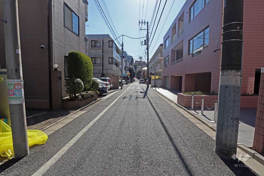 敷地の東側の前面道路（北側から）