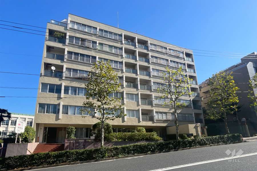 シーアイマンション高輪の外観（西側から）