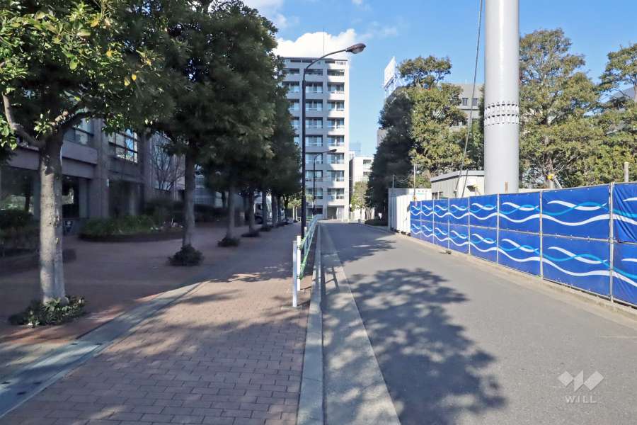 敷地東側の前面道路(南側から)