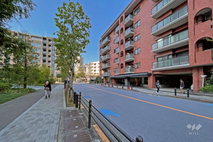 敷地の南東側前面道路（北東側から）