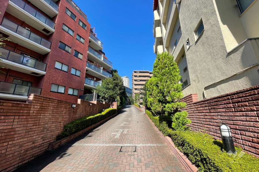 敷地の東側道路（南側から）