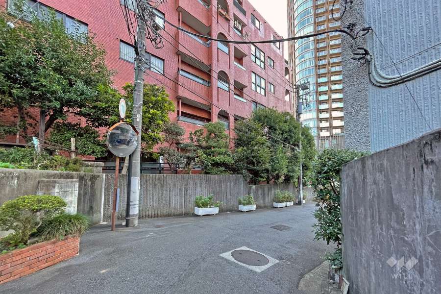 敷地の西側道路（北側から）